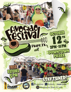 avocadofestival flyer