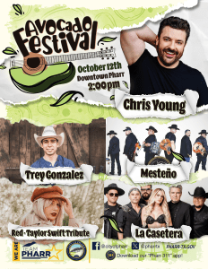 avocadofestival music lineup 1